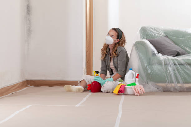 Reliable Mold Inspection contractor in Colts Neck, NJ by WQB Mold Removal